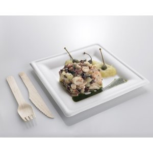 piatto-quadro-pz-50-bio-20x20