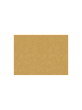 TOVAGLIETTE CARTA PAGLIA 30x40 PZ. 250